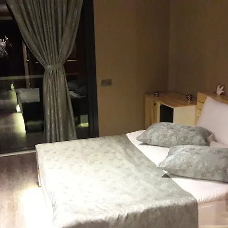 Hotel Velena