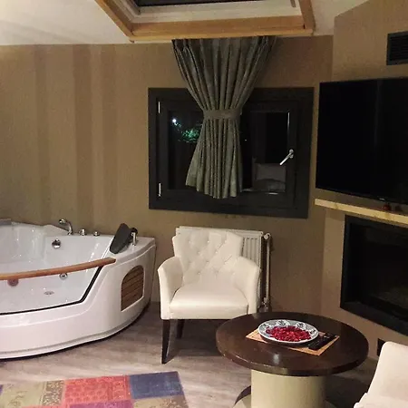 فندق فيلينا 3*
