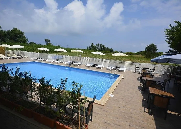 Velena 伊斯坦布尔