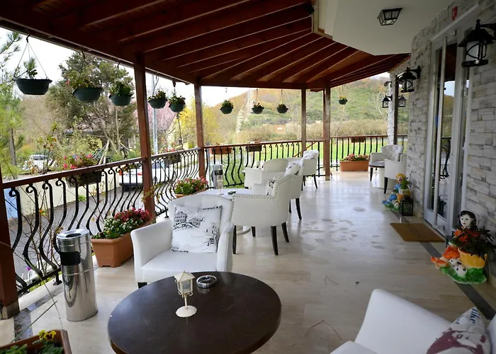 Velena 伊斯坦布尔